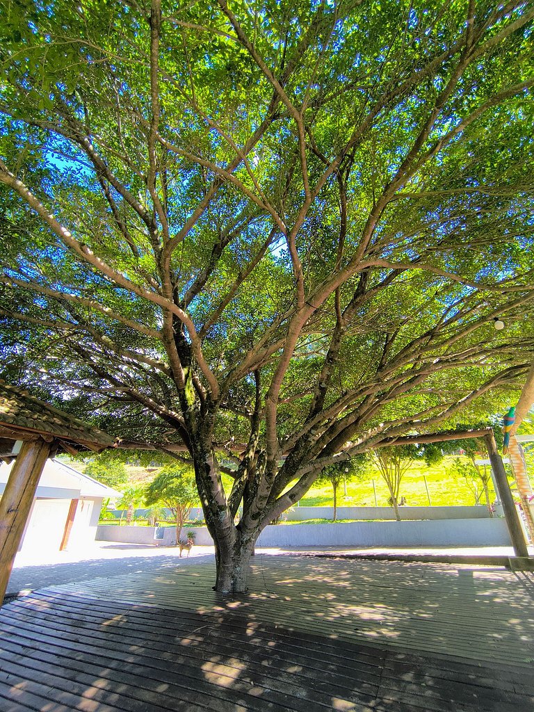 Rifugio Val Di Monti