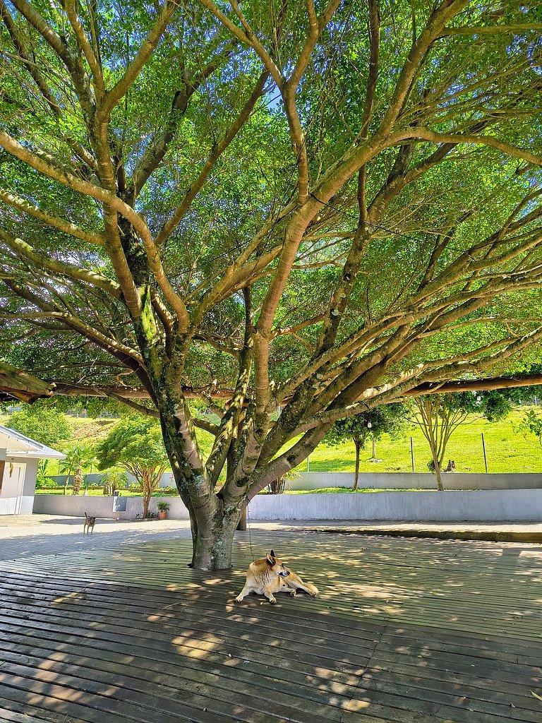 Rifugio Val Di Monti