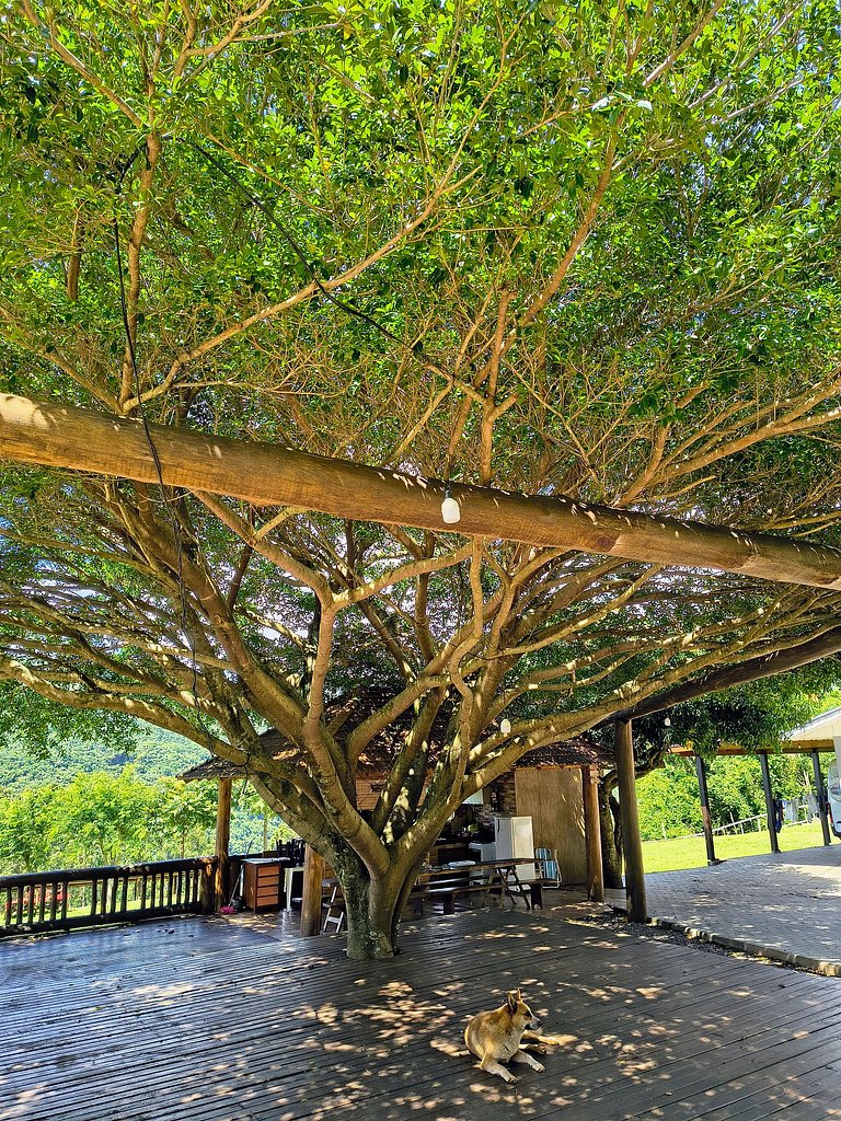 Rifugio Val Di Monti