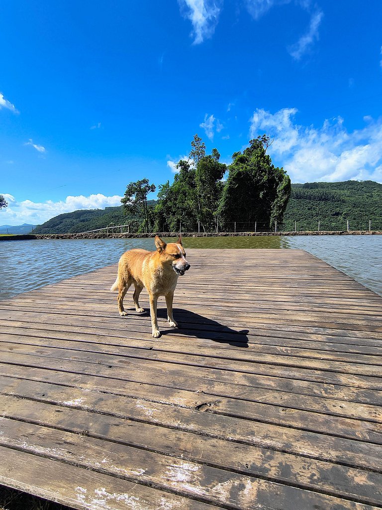 Rifugio Val Di Monti