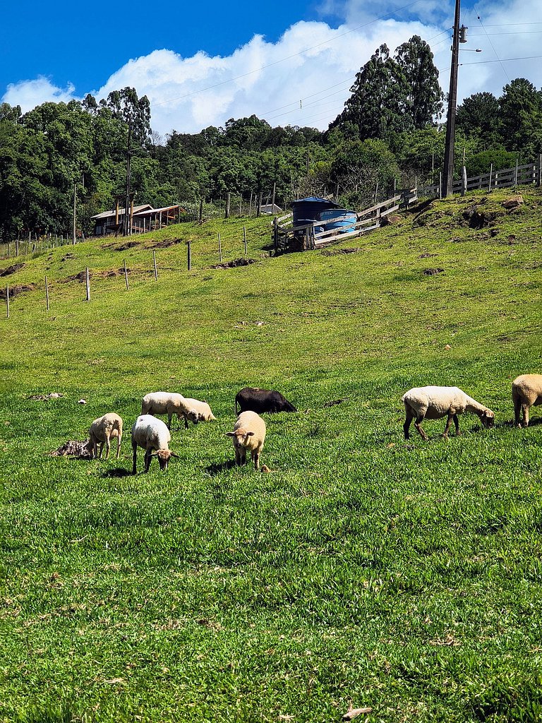 Rifugio Val Di Monti