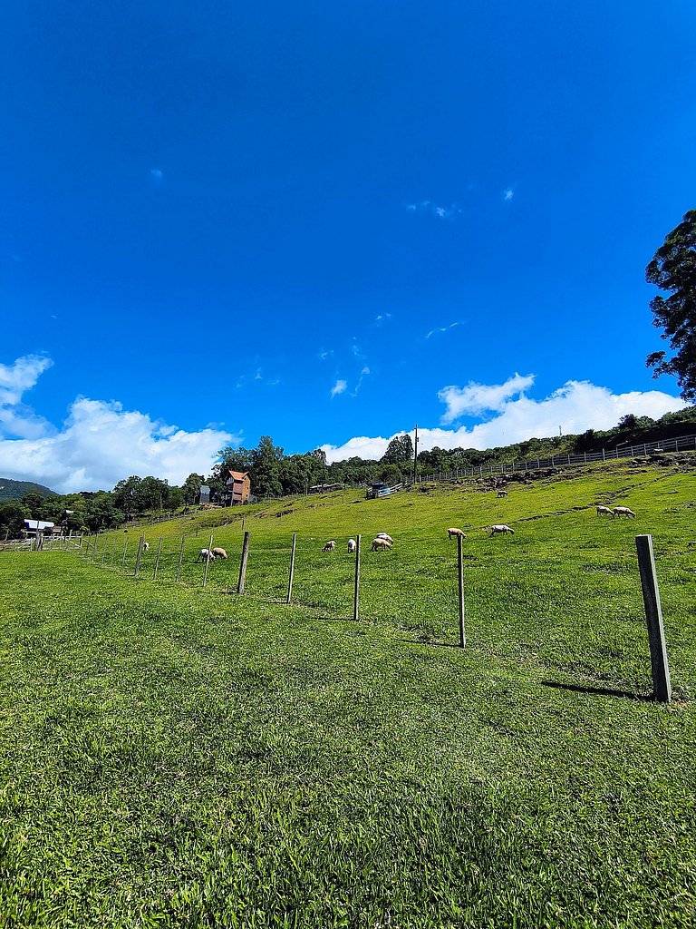 Rifugio Val Di Monti