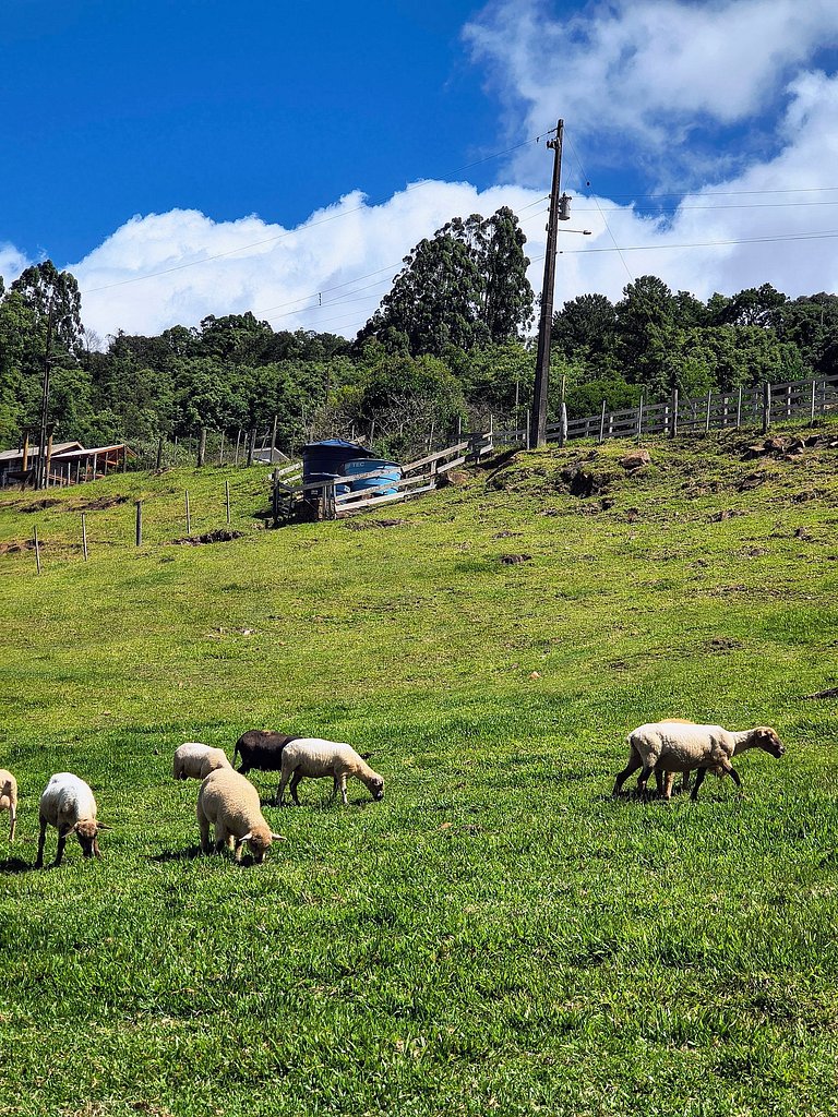 Rifugio Val Di Monti