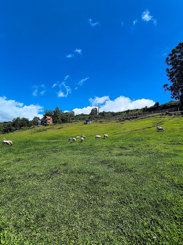 Rifugio Val Di Monti
