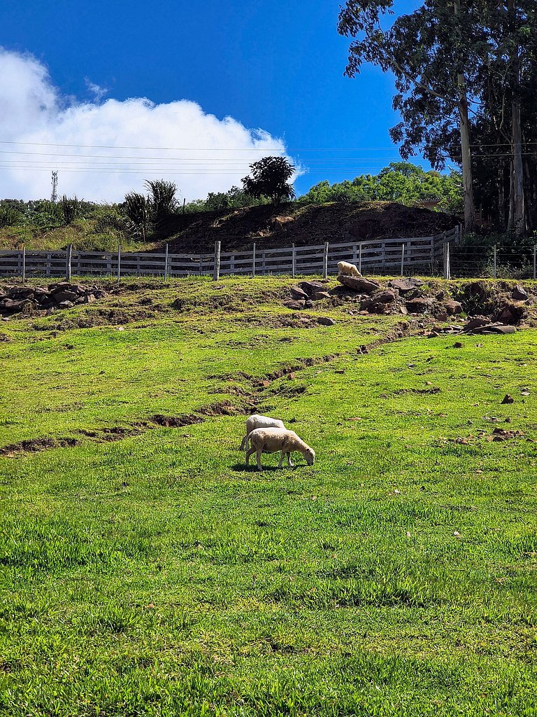 Rifugio Val Di Monti