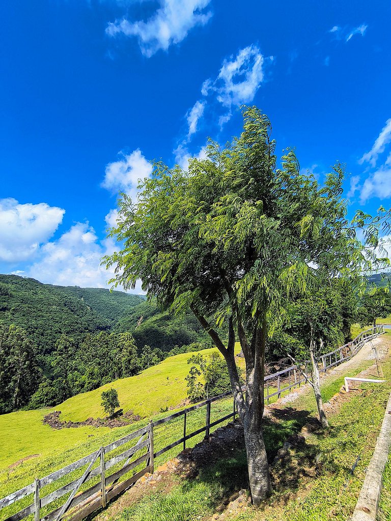 Rifugio Val Di Monti